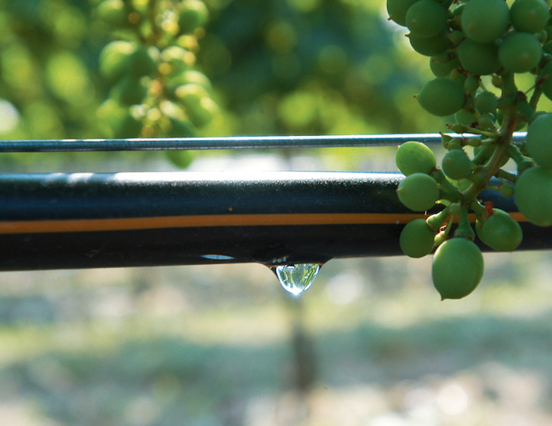 Drip irrigation