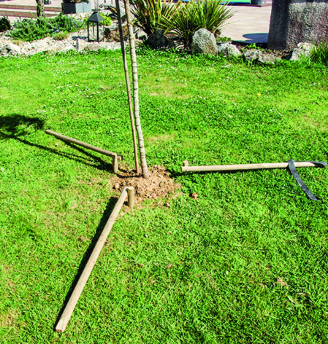 Treelock Tree Anchorage