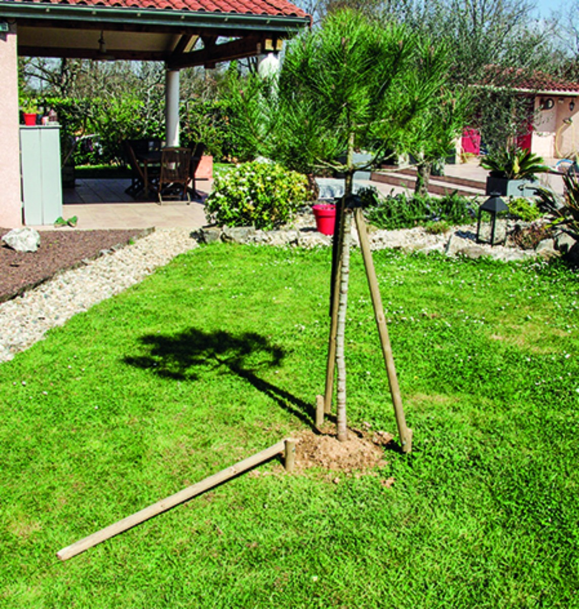 Treelock Tree Anchorage