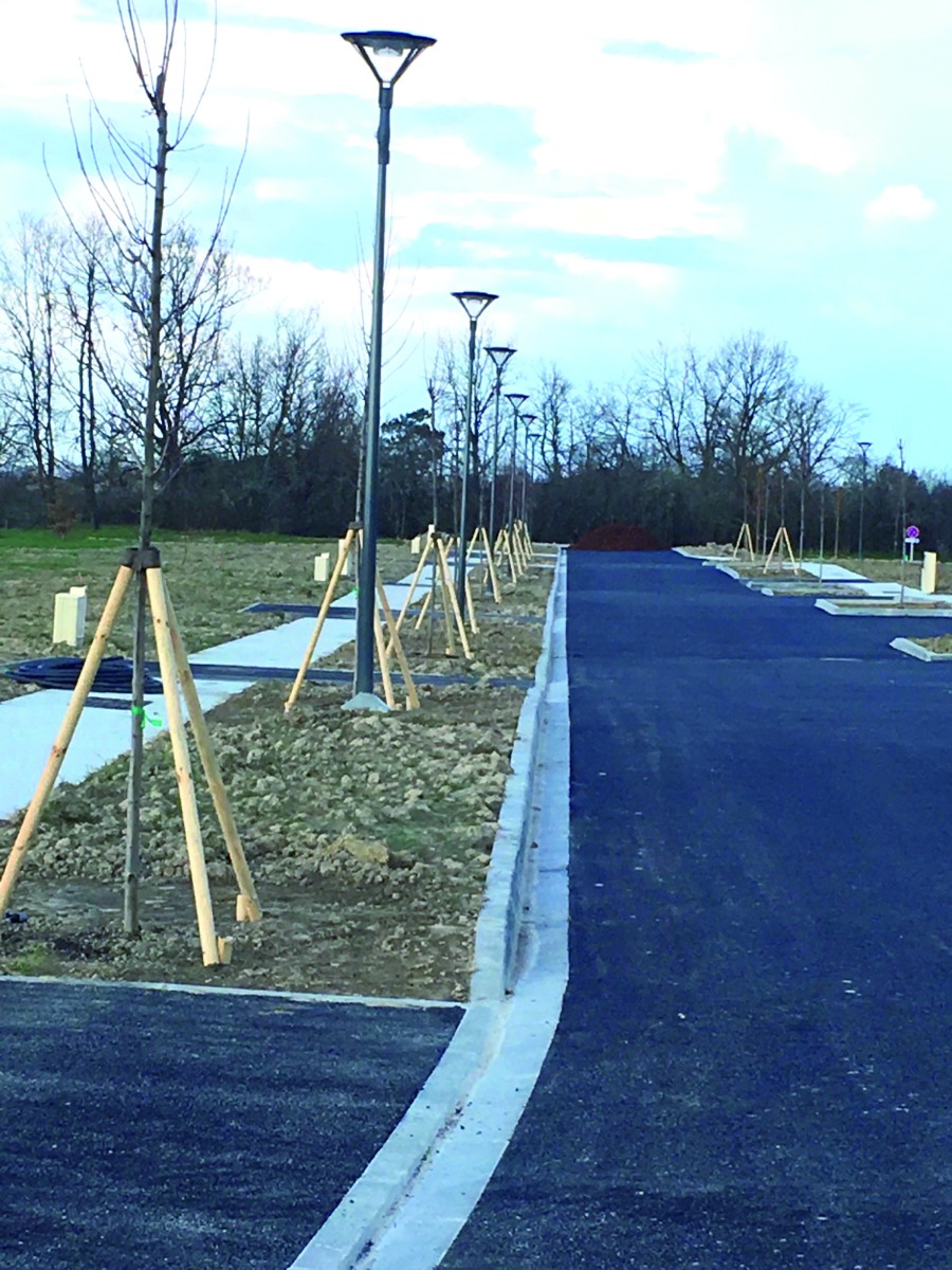 Treelock Tree Anchorage