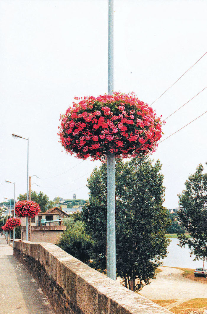 Flower Basket
