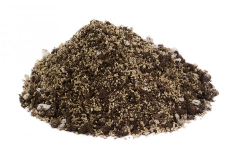Mycorrhiza for grass